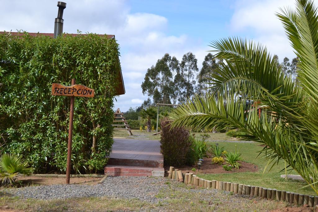 Cabanas Boutique Il Bosco Algarrobo Phòng bức ảnh